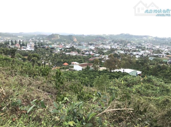 700m2 Đại Lào Bảo Lộc view toàn cảnh. - 2