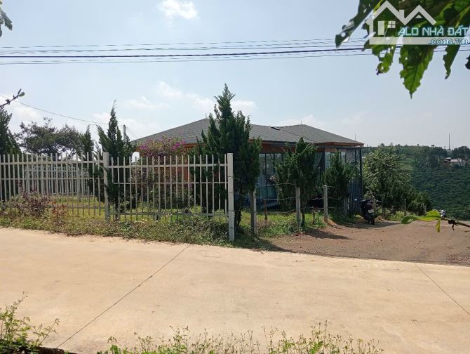 Nhà Lộc Phát Bảo Lộc 700m2 gần Nhà thờ vô Nhiễm - 2