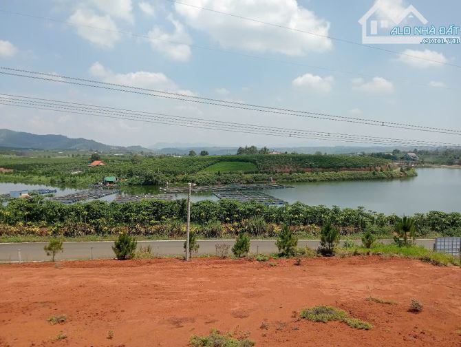 8.7 sào 500m thổ cư mặt tiền Lê thị Riêng Bảo Lộc. - 2