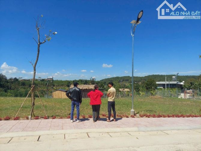 💥Đất sau cf Thông Reo - N