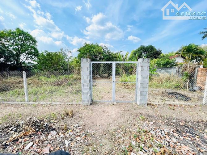 Bán Đất 2.668m2 mặt tiền Bùi Thị Điệt gần nút Giao Cao Tốc Mộc Bài, xã Phạm Văn Cội - 2