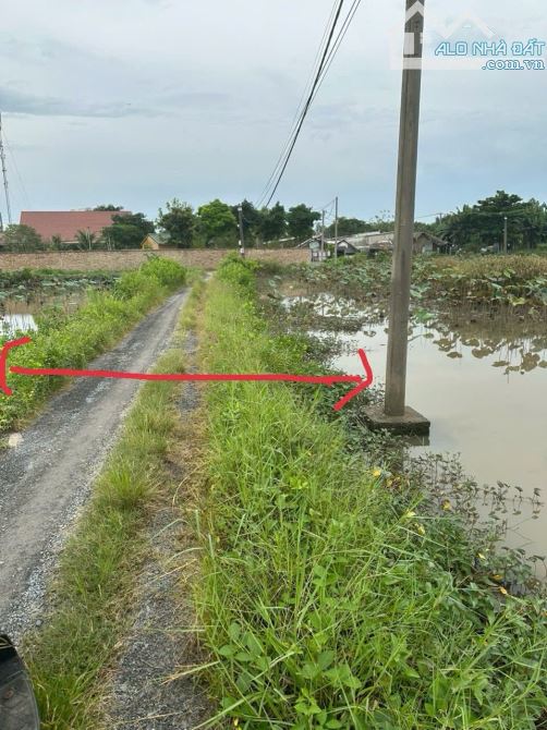 Bán đất hẻm đường 12 p Long PHƯỚC Tp Thủ Đức - 2