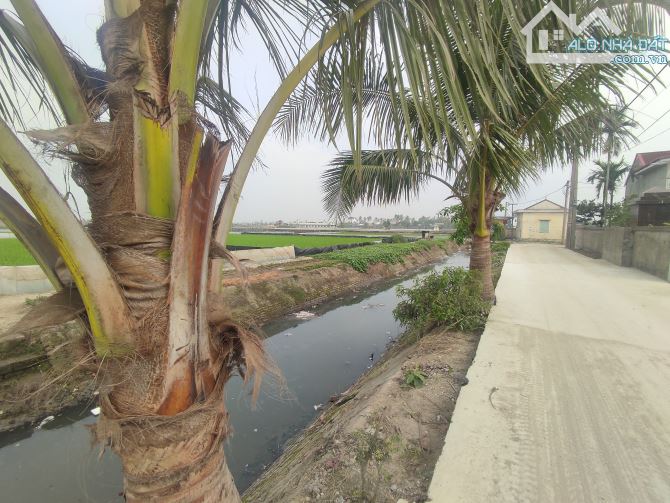 Kim Đới,Tiên Thanh,Hải Phòng. Đối diện KHu công nghiệp Tiên Thanh - 2