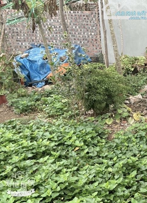 💥Siêu phẩm Nam Hồng - Đông Anh - Mặt tiền quyền lực rộng - Ô tô  - LH em Hạnh( gặp chủ ) - 2