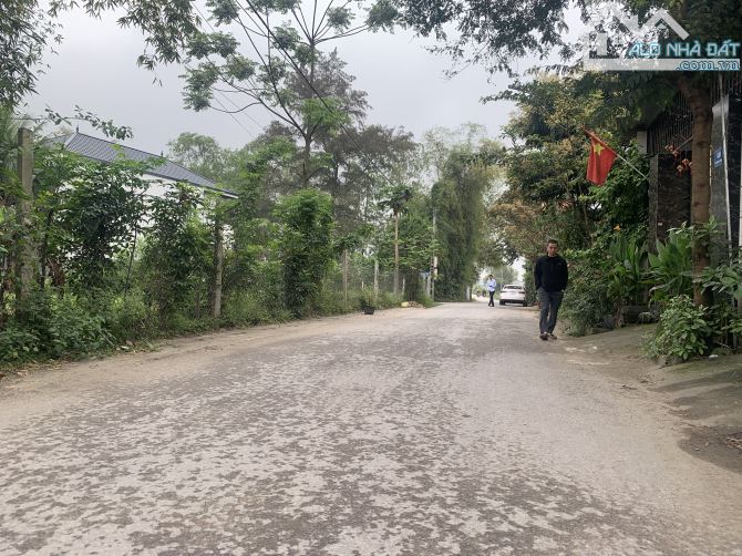 Bán đất mặt đường Nguyễn Trọng Thường - P Hưng Lộc TP Vinh - 1