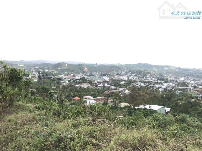 700m2 Đại Lào Bảo Lộc view toàn cảnh. - 3