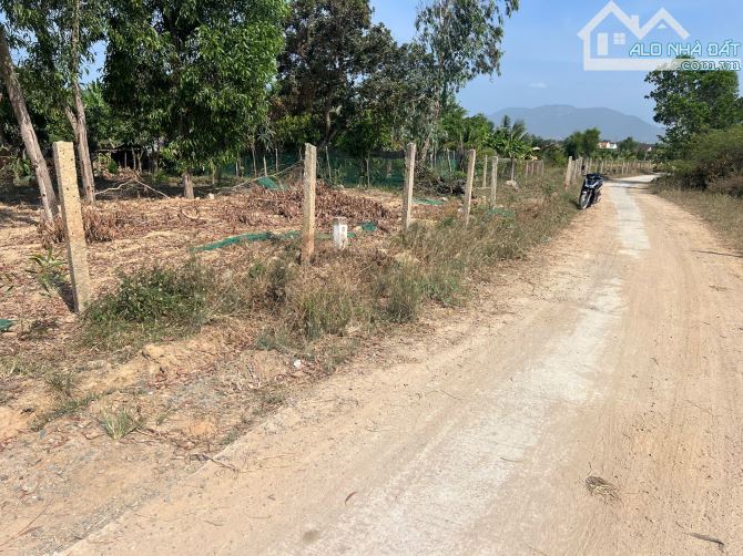ĐẤT RẺ CẦN BÁN* HOÀ THIỆN 1 - NINH AN _ thị xã NINH HOÀ💥 - 3
