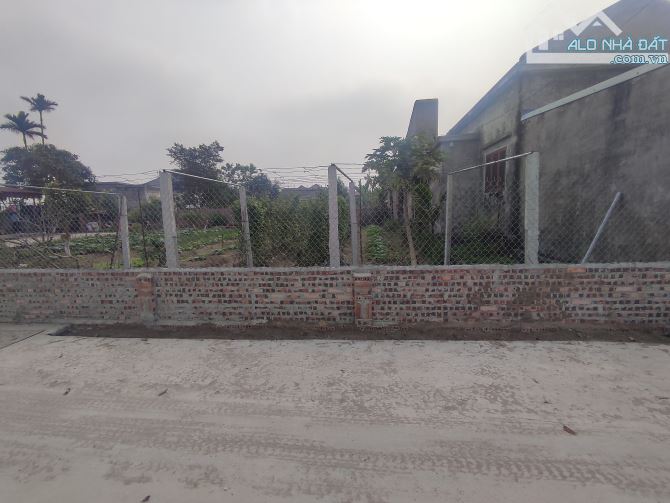 Kim Đới,Tiên Thanh,Hải Phòng. Đối diện KHu công nghiệp Tiên Thanh - 3