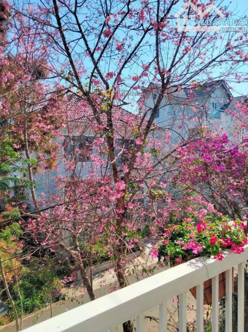 Villa Mặt tiền KQH Viện Nghiên Cứu Hạt Nhân 12 phòng ở và kinh doanh thu nhập tốt 234m2 - 3
