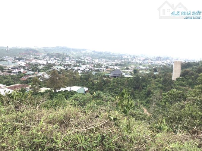 700m2 Đại Lào Bảo Lộc view toàn cảnh. - 4