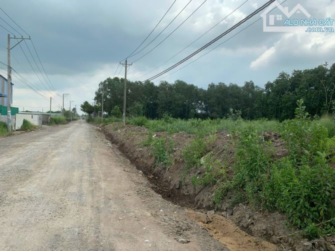 Bán 2,2hecta đất quy hoạch SKC ngay đường Võ Nguyên Giáp, Trảng Bom Đồng Nai giá 2tr/m2 - 4