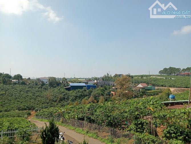 Nhà Lộc Phát Bảo Lộc 700m2 gần Nhà thờ vô Nhiễm - 8