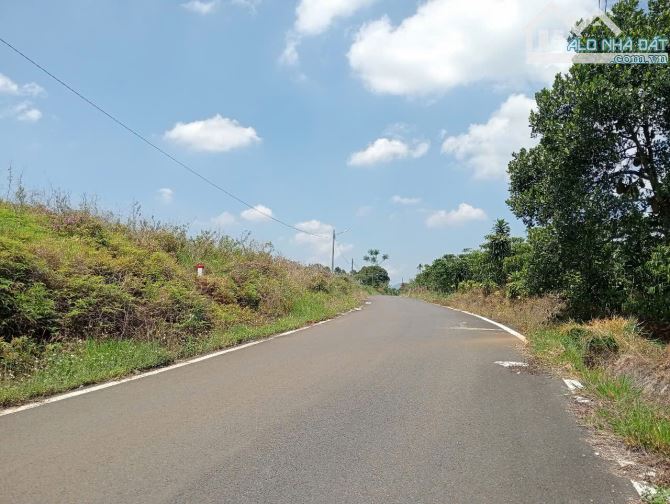8.7 sào 500m thổ cư mặt tiền Lê thị Riêng Bảo Lộc. - 8