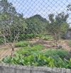 Bán 499m2 đất 50 năm Sài Sơn _ Quốc Oai