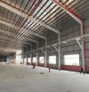 cho thuê kho xưởng 2000m2 đến 10.000m2 Bình Chiểu Thủ Đức, đa diện tích gần KCN