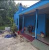 BÁN NHÀ VƯỜN NGAY SAU KCN CHÀ LÀ, 45X62M THỔ CƯ 400M GIÁ NGỘP RẺ