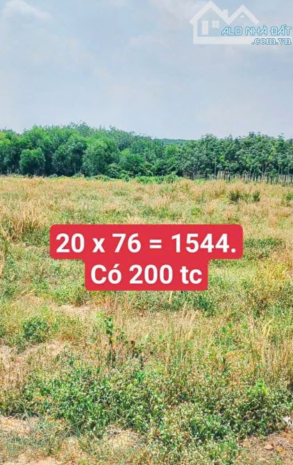 BÁN ĐẤT MT NHỰA, LONG TÂN, DẦU TIẾNG, DT:20x76, TC200M2, SHR, GIÁ 2,3 TỶ chốt