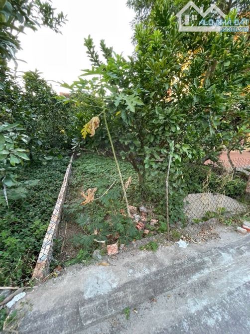 Bán đất thôn Giao Tất A - Gần Học viện Tòa án  Diện tích: 64m²  Mặt tiền: 5m  Đường trước