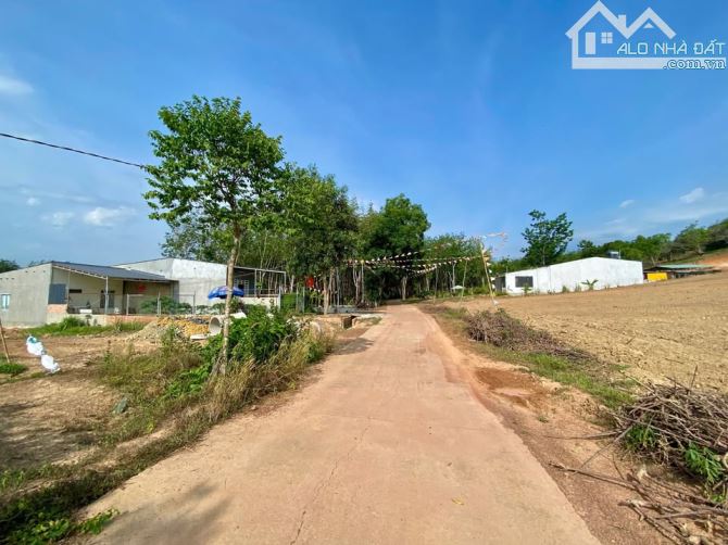 207m2 full thổ cư đường bê tông gần ủy ban nhân dân giá 350 triệu Đồng Phú Bình Phước