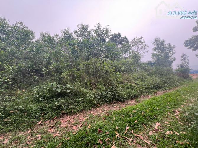 BÁN ĐẤT ĐƯỜNG BẮC SƠN, ĐƯỜNG SÂN VẬN ĐỘNG THÁI NGUYÊN 50M, DT 4.952M2 CÓ 900M2 THỔ CƯ
