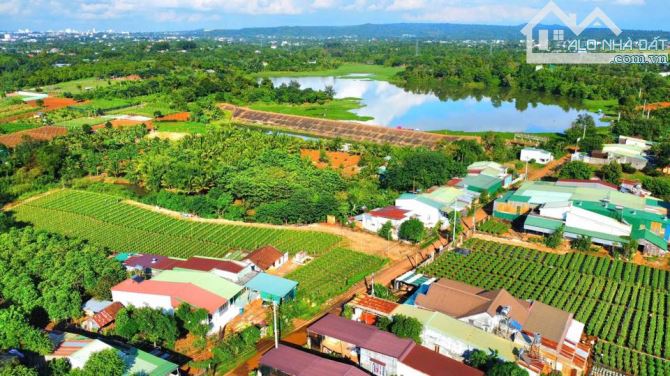 ĐẤT SUỐI QUANH ĐẤT KHÁNH XUÂN, DT: 4 SÀO, THỔ CƯ 300M2, GIÁ: 6,5 TỈ