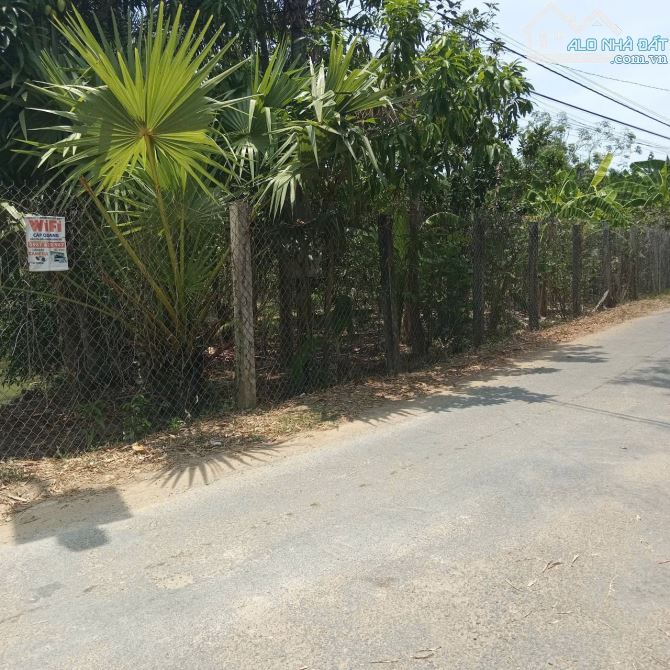 Nhà vườn nhánh nhựa Sâm bua cách Lê Văn Tám 300m khu dân cư đông đúc