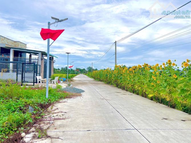 Mặt tiền bê tông 6m - Đất thổ sạch đẹp - Sổ Sẵn