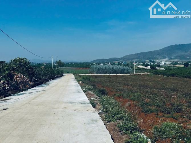 Cần bán lô đất khu cư xá huyện Đức Trọng giá tốt - 1