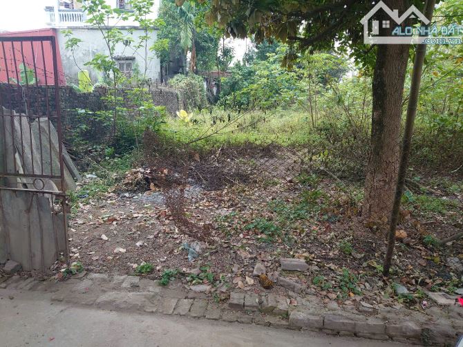 🌟 220M ĐẤT ĐẸP – ĐƯỜNG THÔNG – Ô TÔ VÀO TẬN NƠI – PHƯƠNG ĐÌNH 🌟 - 1