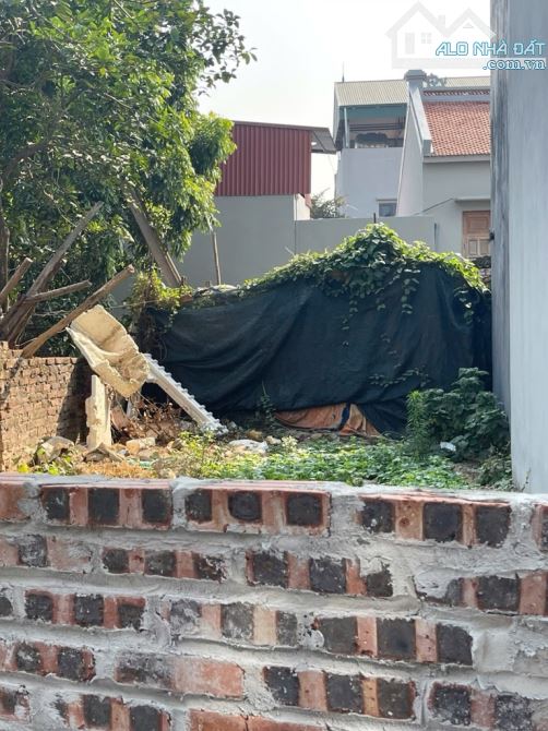 ✅ ĐẤT ĐẸP UY NỖ ĐÔNG ANH – GẦN KHU LIỀN KỀ 319 – Ô TÔ VÀO ĐẤT – NHỎ TIỀN CHỈ 2.95 TỶ - 1