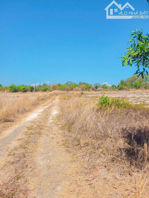 LÔ ĐẤT ĐẸP BIỂN BÌNH CHÂU, GẦN KDL SUỐI NƯỚC NÓNG, SẴN THỔ CƯ, CÁCH BÃI TẮM 1.5KM - 1