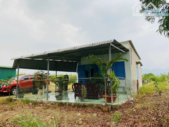 💥BÁN ĐẤT VƯỜN THANH LONG VIEW SÔNG CÀ TY XÃ MƯƠNG MÁN - BÌNH THUẬN - 1