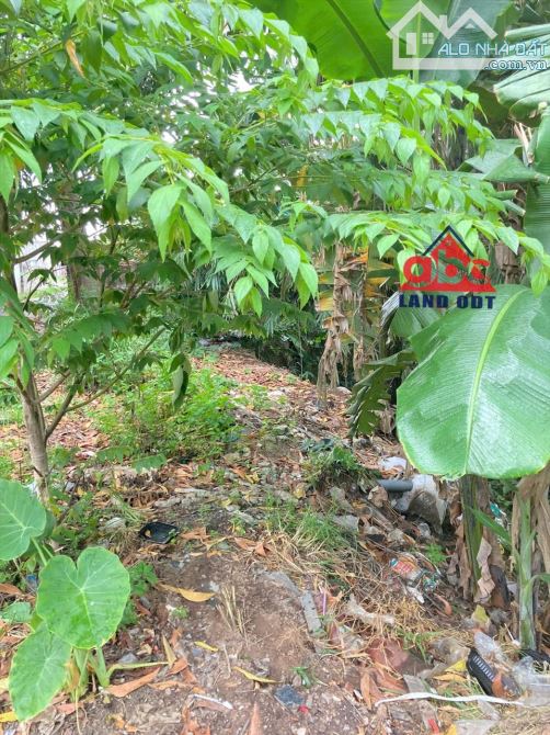 BÁN ĐẤT 3 MẶT TIỀN 348M² – ĐƯỜNG TRỊNH HOÀI ĐỨC, CÁCH QL1A 50M – GIÁ CHỈ 2 TỶ - 1