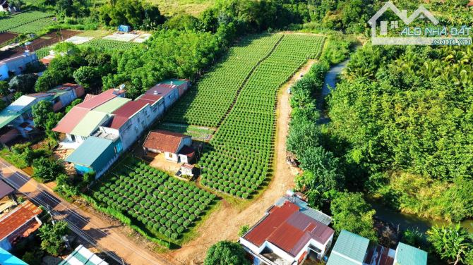 ĐẤT SUỐI QUANH ĐẤT KHÁNH XUÂN, DT: 4 SÀO, THỔ CƯ 300M2, GIÁ: 6,5 TỈ - 1