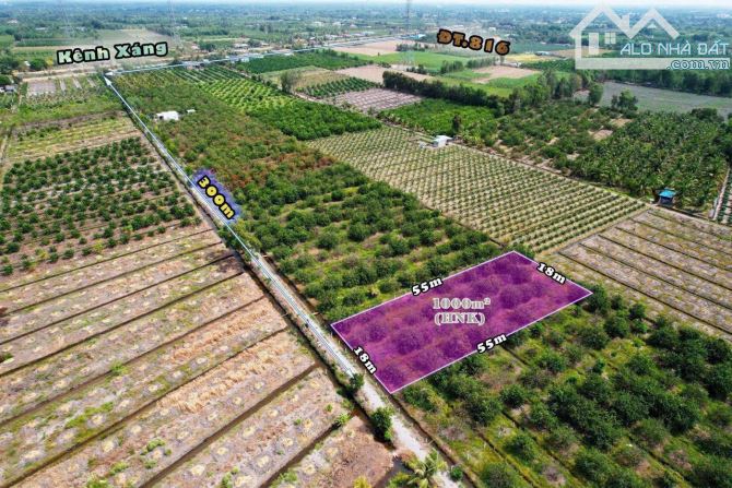 Đất vườn đẹp 18x54m( 1000m2) Cách kênh xáng 100m - 1