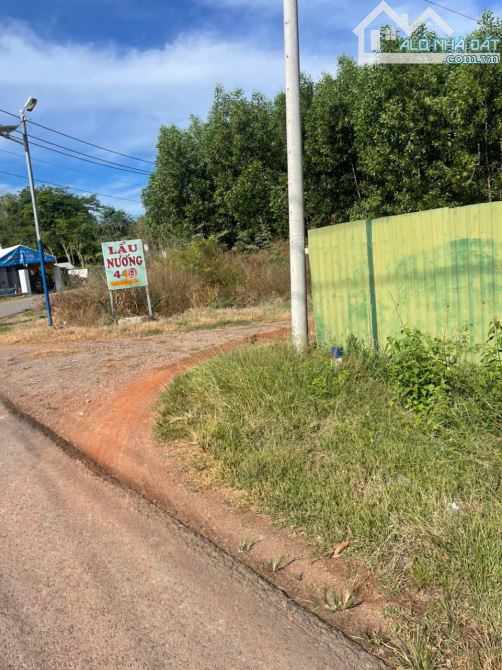D091 ✳️ Bán vườn tràm 1,5 ha thuộc Xã Phú Lý, Huyện Vĩnh Cửu, Đồng Nai. 👉 Vị trí: Cách đư - 2