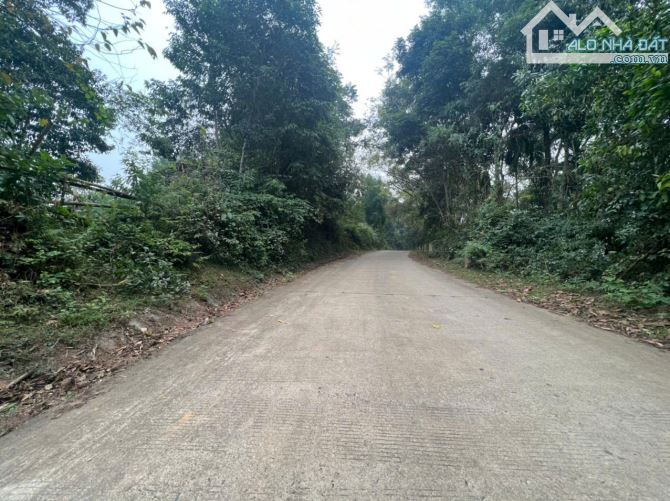Chỉ 1,6 tỷ, gần 3400m Tân Lạc, sẵn nhà sàn to, đường bê tông ô tô vào, view toàn bộ cánh đ - 2