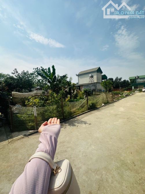Lô góc 61m yên mỹ 2 mặt thoáng tài chính nhỏ dưới 2 tỷ sát trục chính liên xã - 2