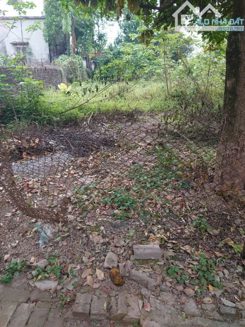🌟 220M ĐẤT ĐẸP – ĐƯỜNG THÔNG – Ô TÔ VÀO TẬN NƠI – PHƯƠNG ĐÌNH 🌟 - 2