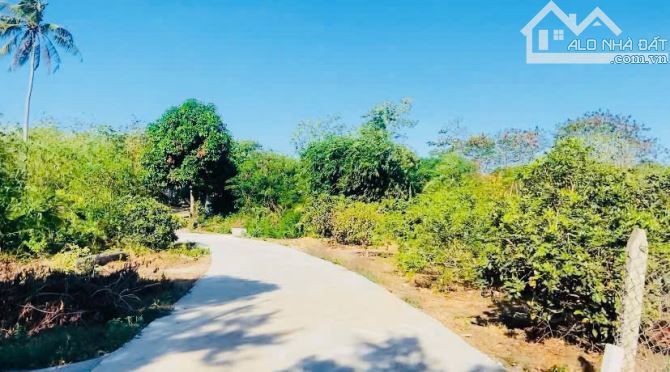 Cần bán lô 2 mặt tiền 1000m2 view suối, gần biển, gần cao tốc mặt tiền đến 28m - 2
