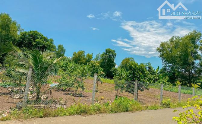 LÔ ĐẤT CÓ NHÀ VIEW RUỘNG LÚA CỰC ĐẸP CẠNH THỊ TRẤN NGÃI GIAO, PHỦ HỒNG, GIÁ BÁN CỰC RẺ - 2