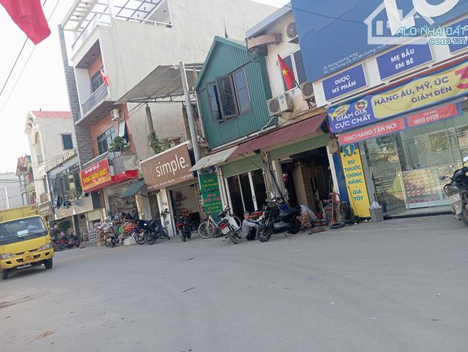 Hàng Hiếm Rẻ Chủ Thiện Trí Đất Đẹp Kim Nỗ Đông Anh Hà Nội - 2