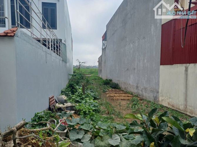 Bán gấp lô đất mặt trục chính Thuận Thiên, Kiến Thụy, Hải Phòng  - Diện tích : 153m2 - 3