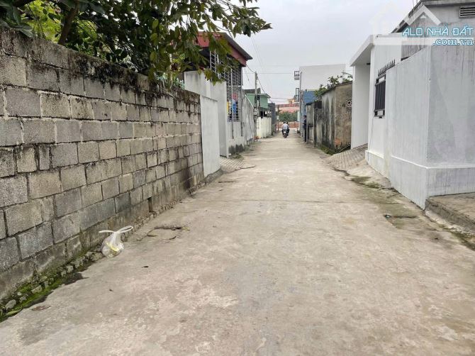 Bán đất Xuân La - Thanh Sơn - Kiến Thụy - Hải Phòng - 3