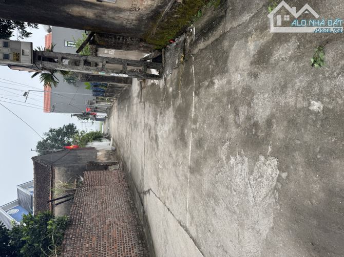 Siêu lô góc phường ninh xá-thị xã thuận thành-100m ra vành đai 4-800m ra KCN thuận thành1 - 3