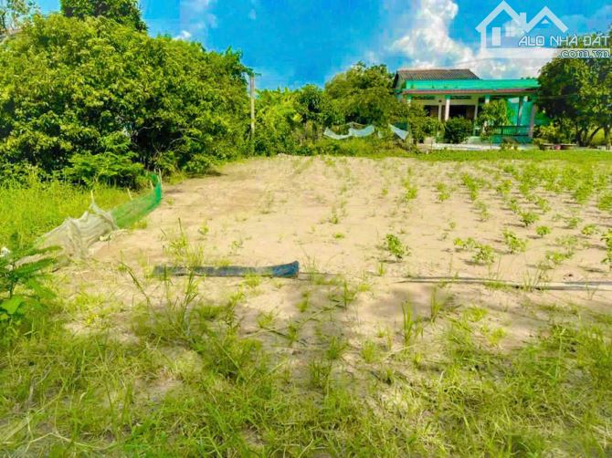 E còn nền thổ Xã Bình Tịnh Huyện Tân Trụ   - DT : 10x25 Nền Sẵn Giá 735tr - 3