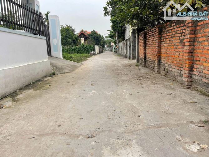 Bán đất Xuân La - Thanh Sơn - Kiến Thụy - Hải Phòng - 4