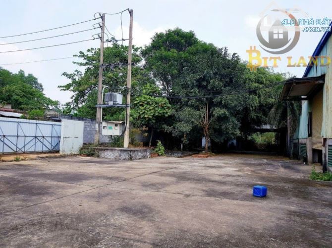 Bán Xưởng SKC 8300m2 SKC Trảng Bom,Đồng Nai - 4