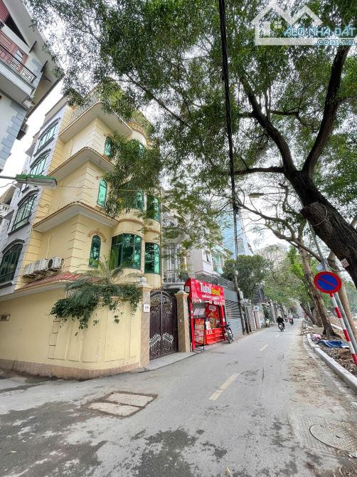 Bán nhà Mặt Phố Mai Anh Tuấn (Mặt Hồ Hoàng Cầu) 257/283m x 4Tầng, MT 8m 150 Tỷ - 4