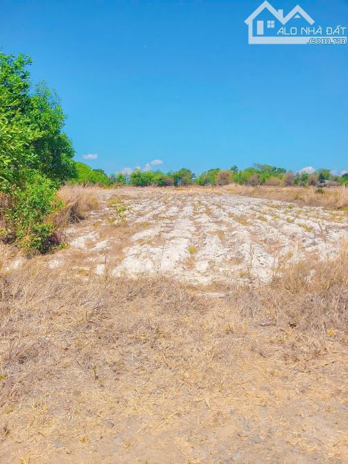 LÔ ĐẤT ĐẸP BIỂN BÌNH CHÂU, GẦN KDL SUỐI NƯỚC NÓNG, SẴN THỔ CƯ, CÁCH BÃI TẮM 1.5KM - 4